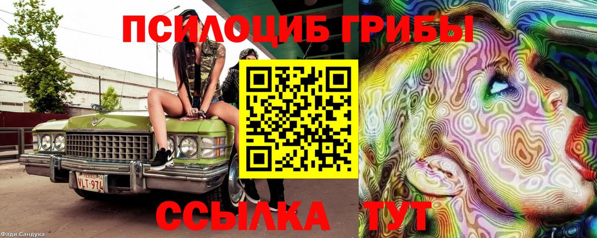 Галлюциногенные грибы MAGIC MUSHROOMS  Вход с VPN  Скопин 
