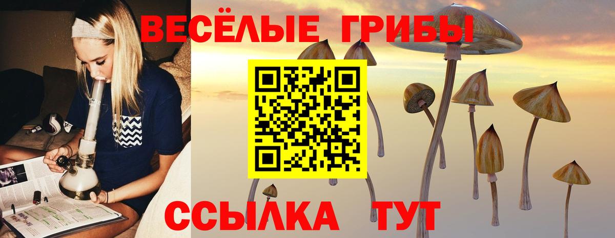 Псилоцибиновые грибы Magic Shrooms Скопин